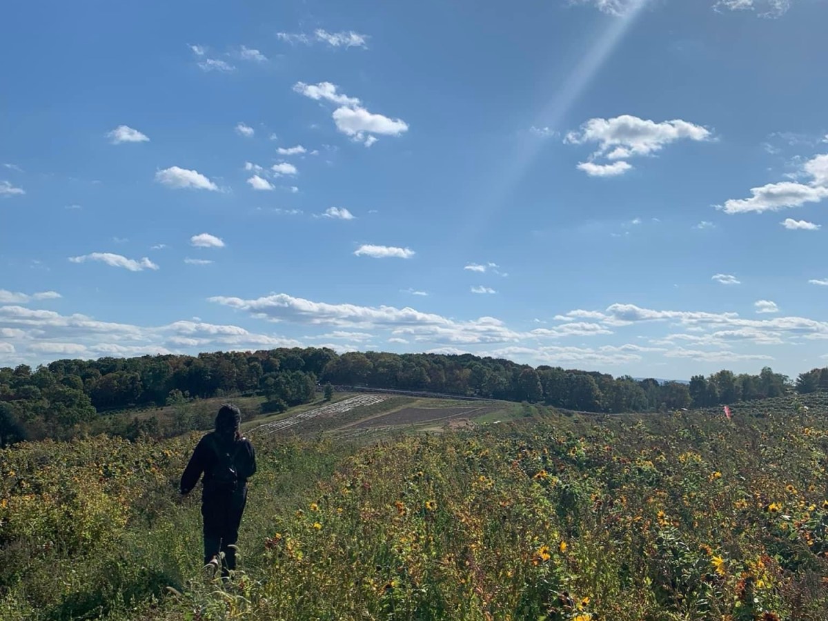 What Does Vannology Mean&nbsp;?